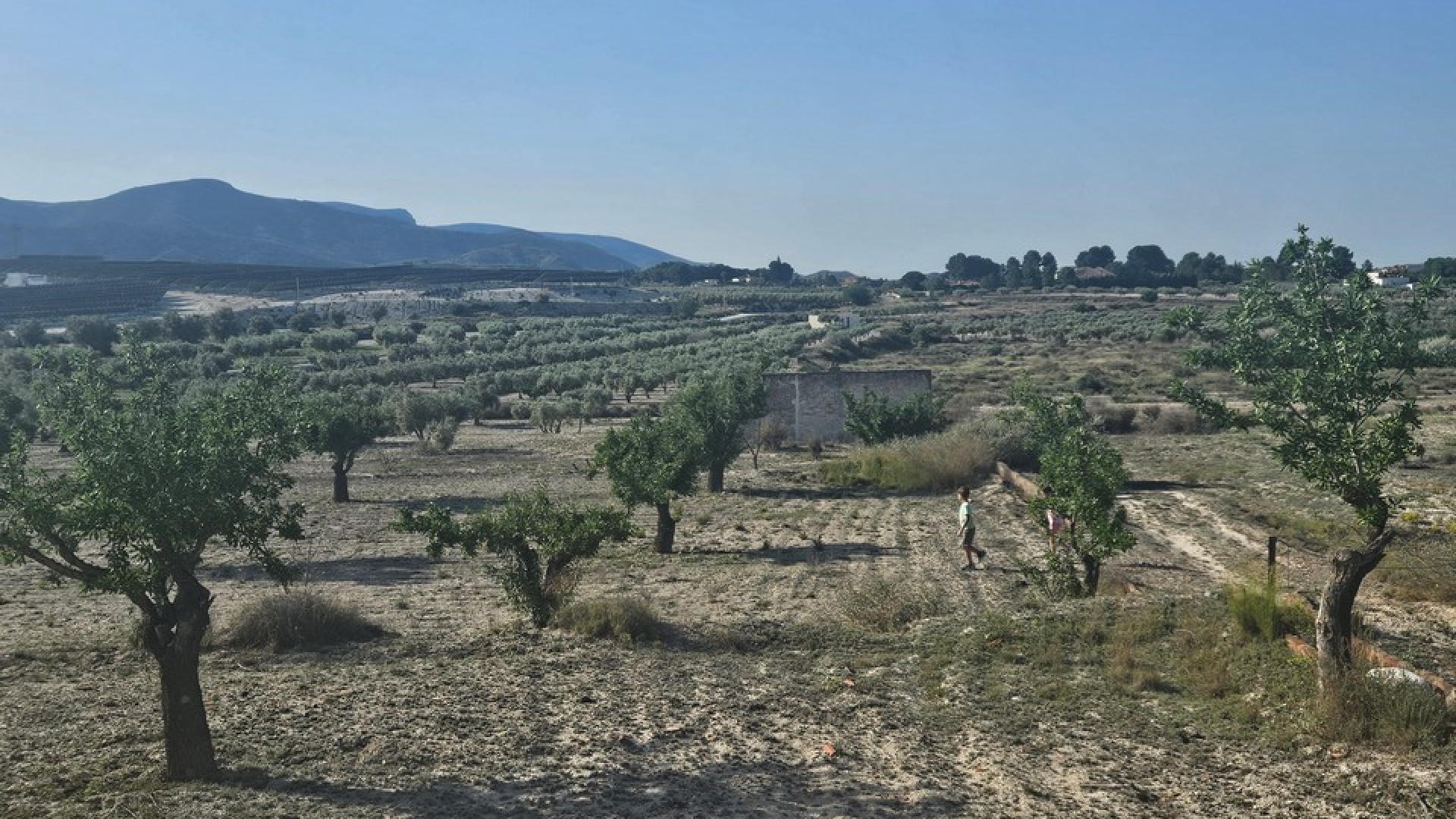 Videresalg - Grund Jord -
SAX