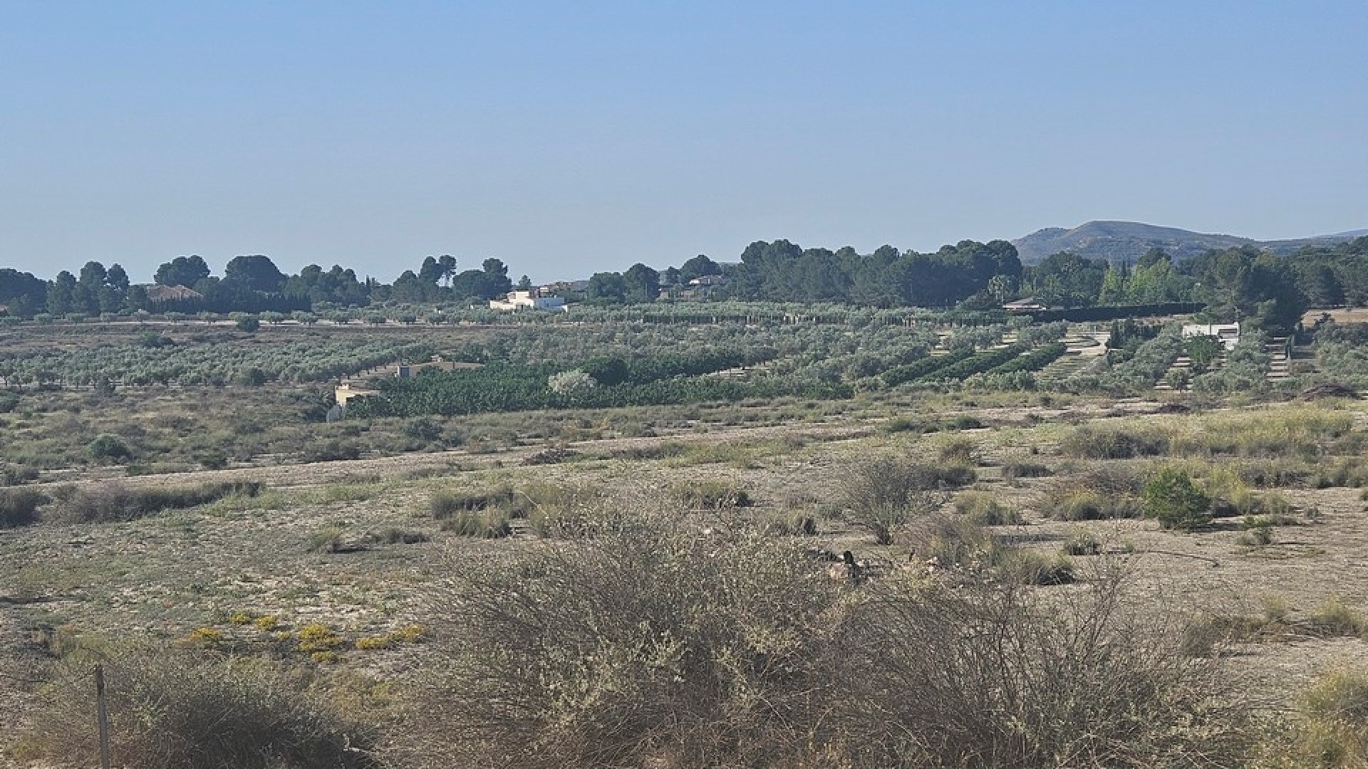 Videresalg - Grund Jord -
SAX