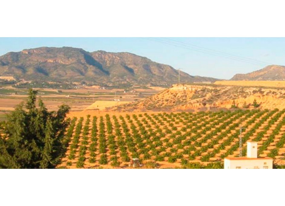 Videresalg - Grund Jord -
Torre Pacheco