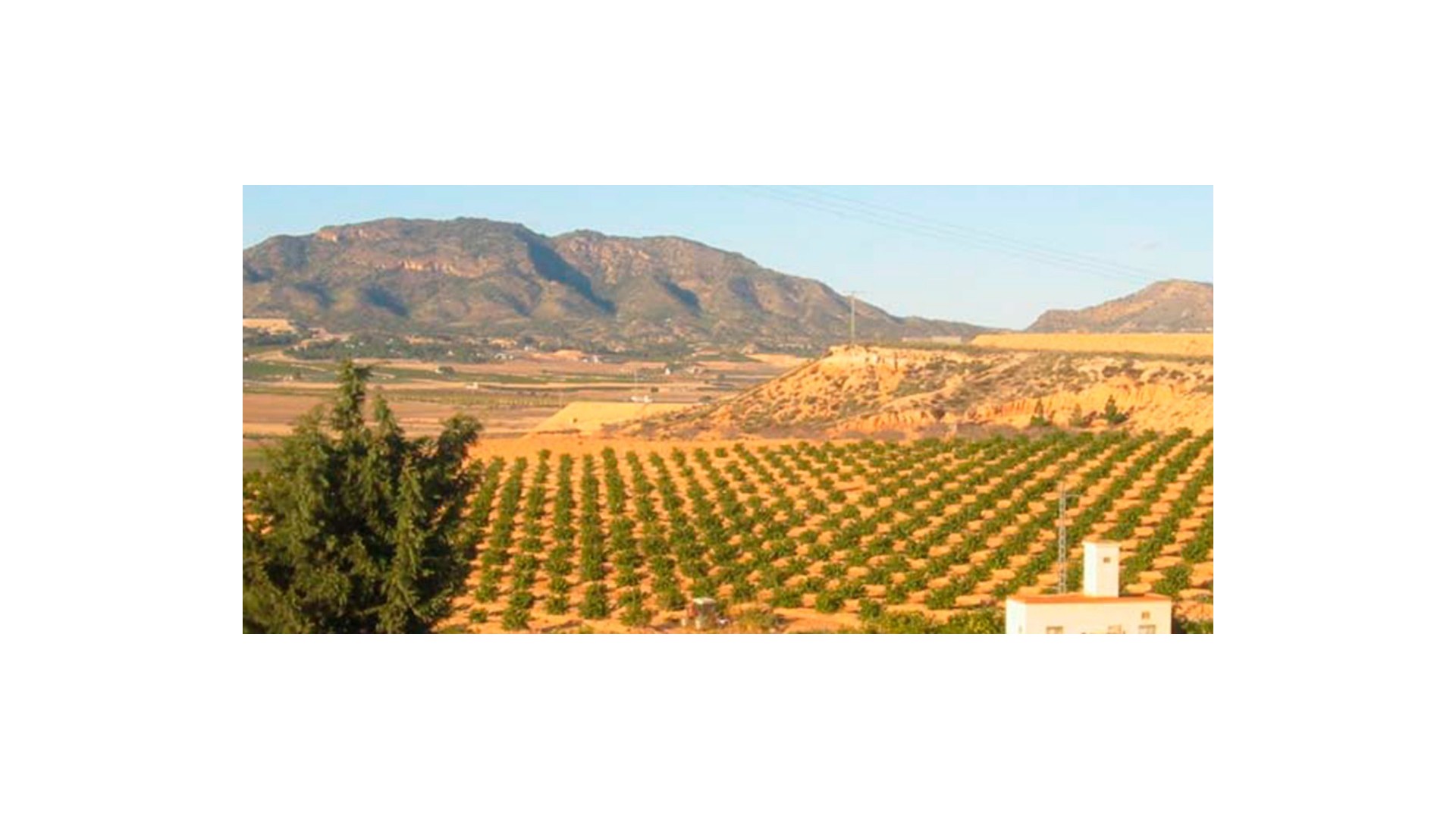 Videresalg - Grund Jord -
Torre Pacheco