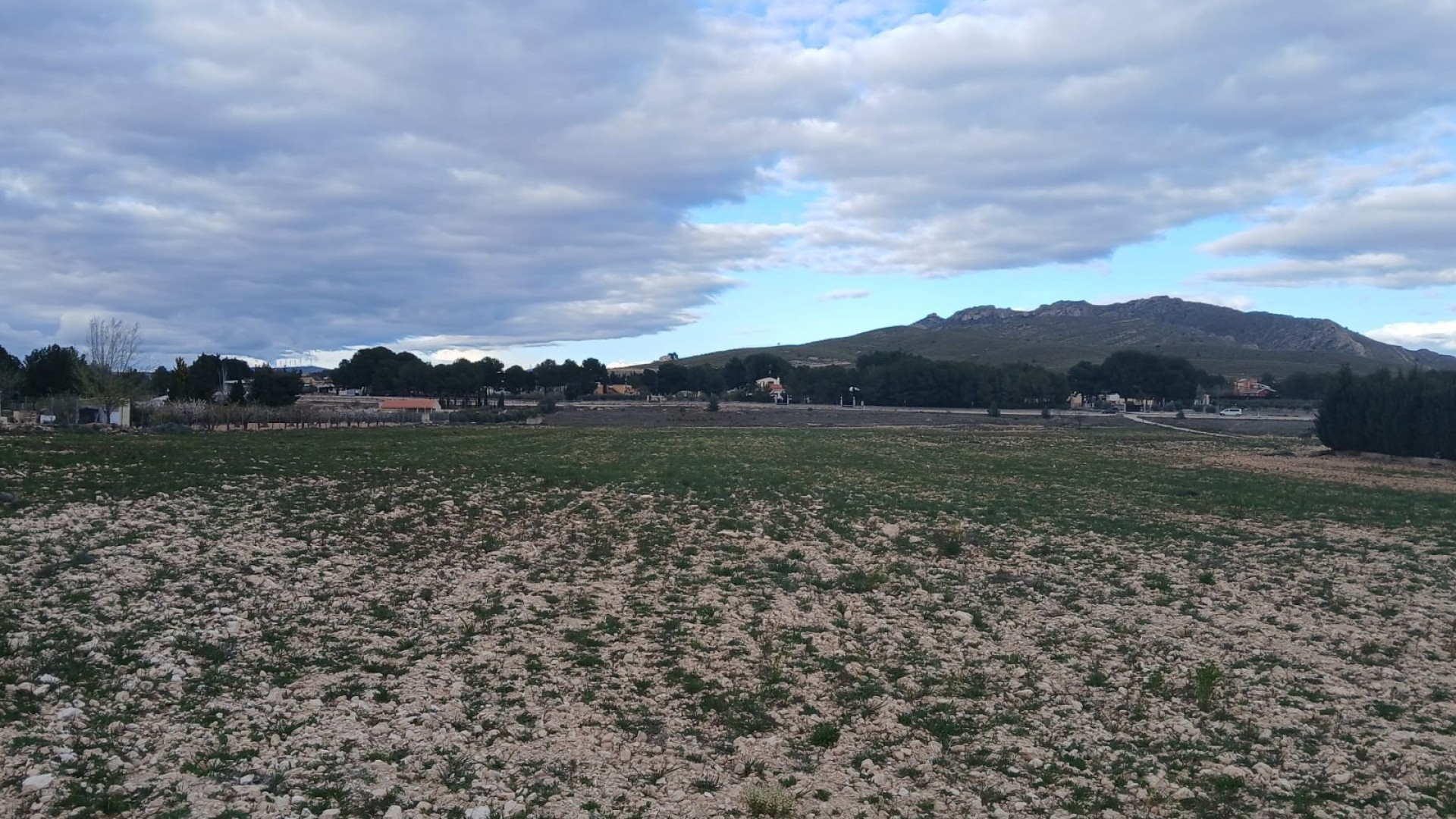 Videresalg - Grund Jord -
Yecla