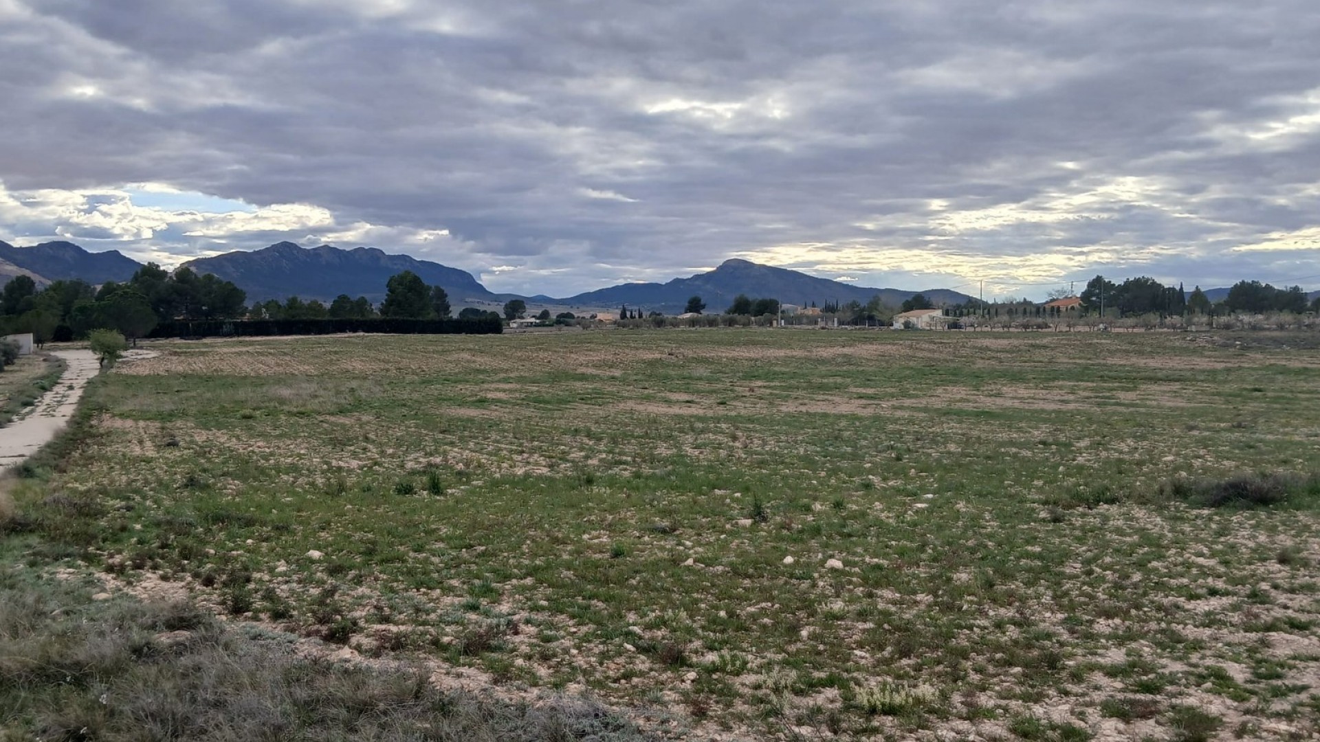 Videresalg - Grund Jord -
Yecla