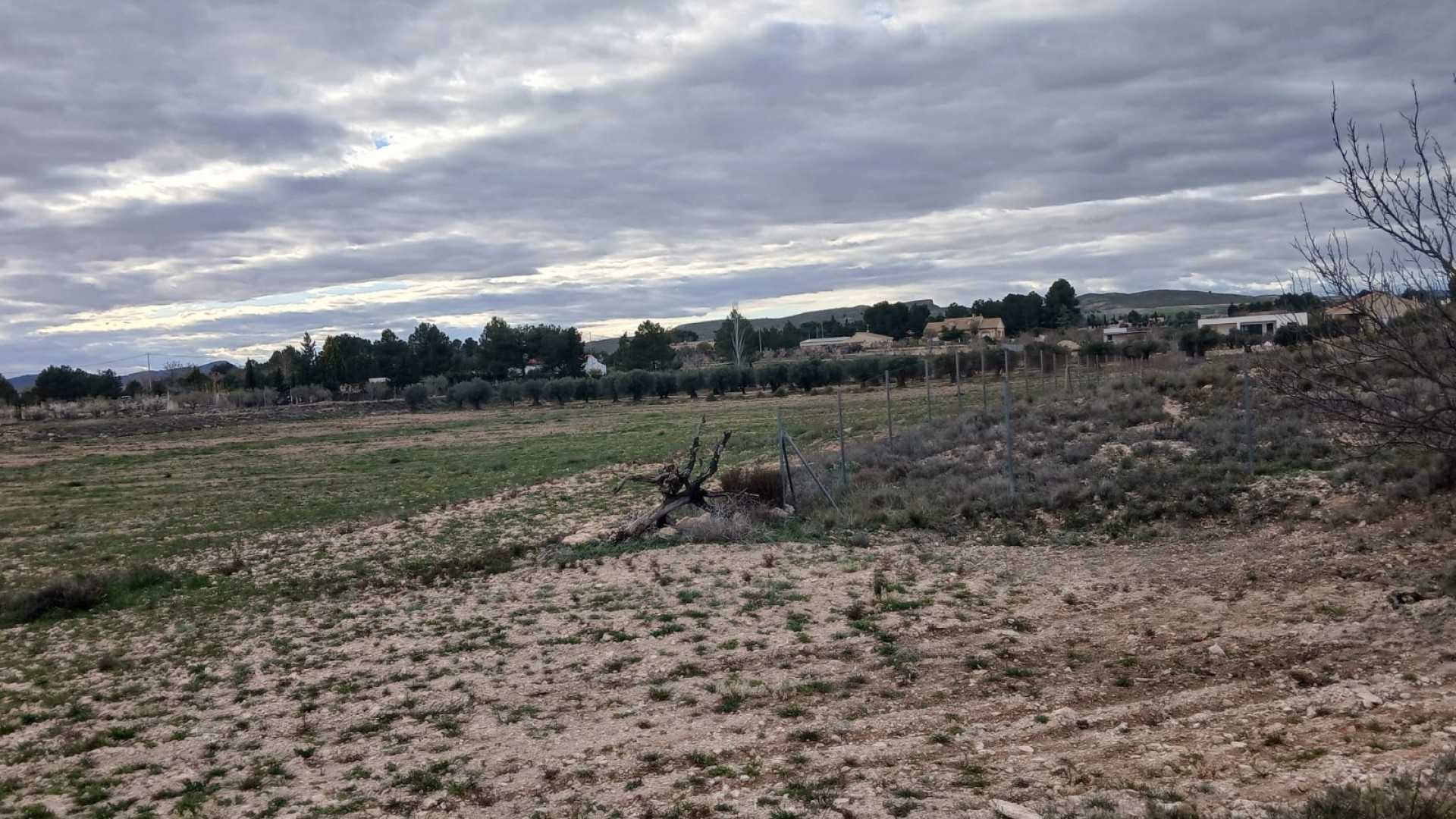 Videresalg - Grund Jord -
Yecla