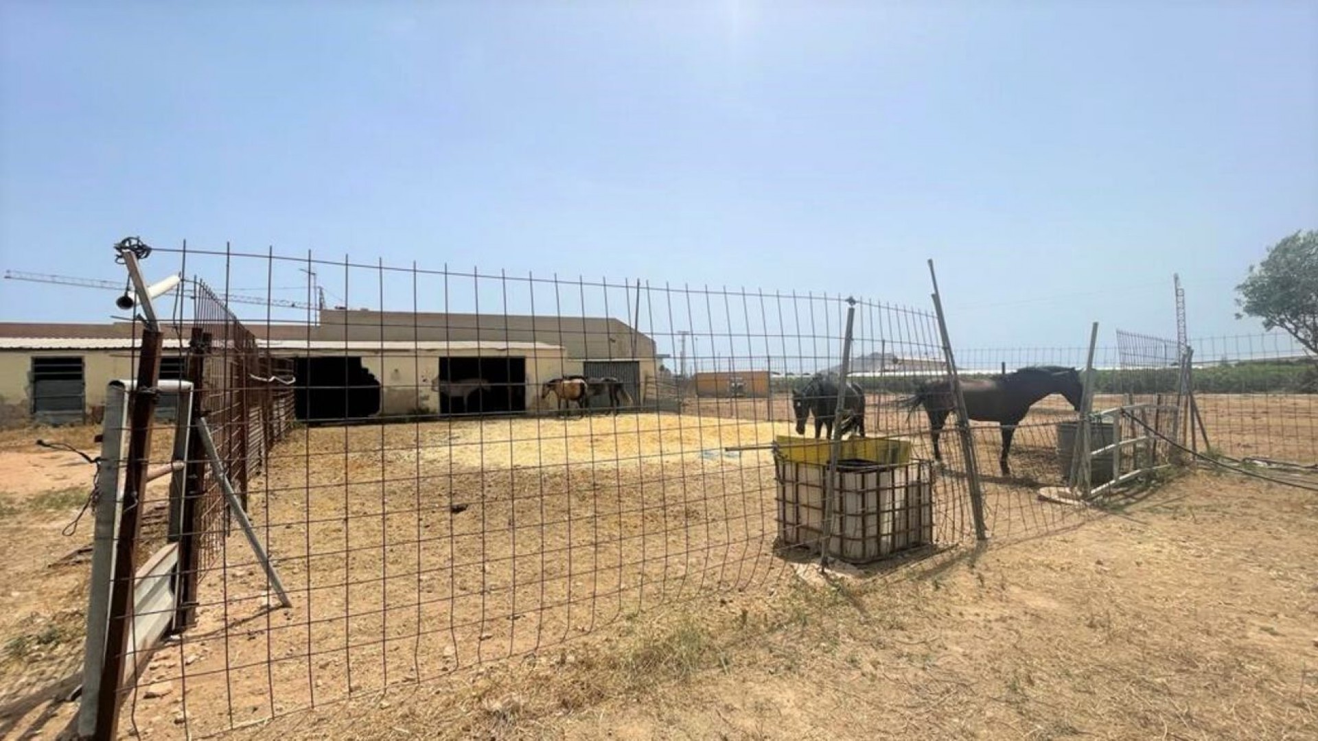 Videresalg - Kommerciel -
Balsicas - Torre Pacheco