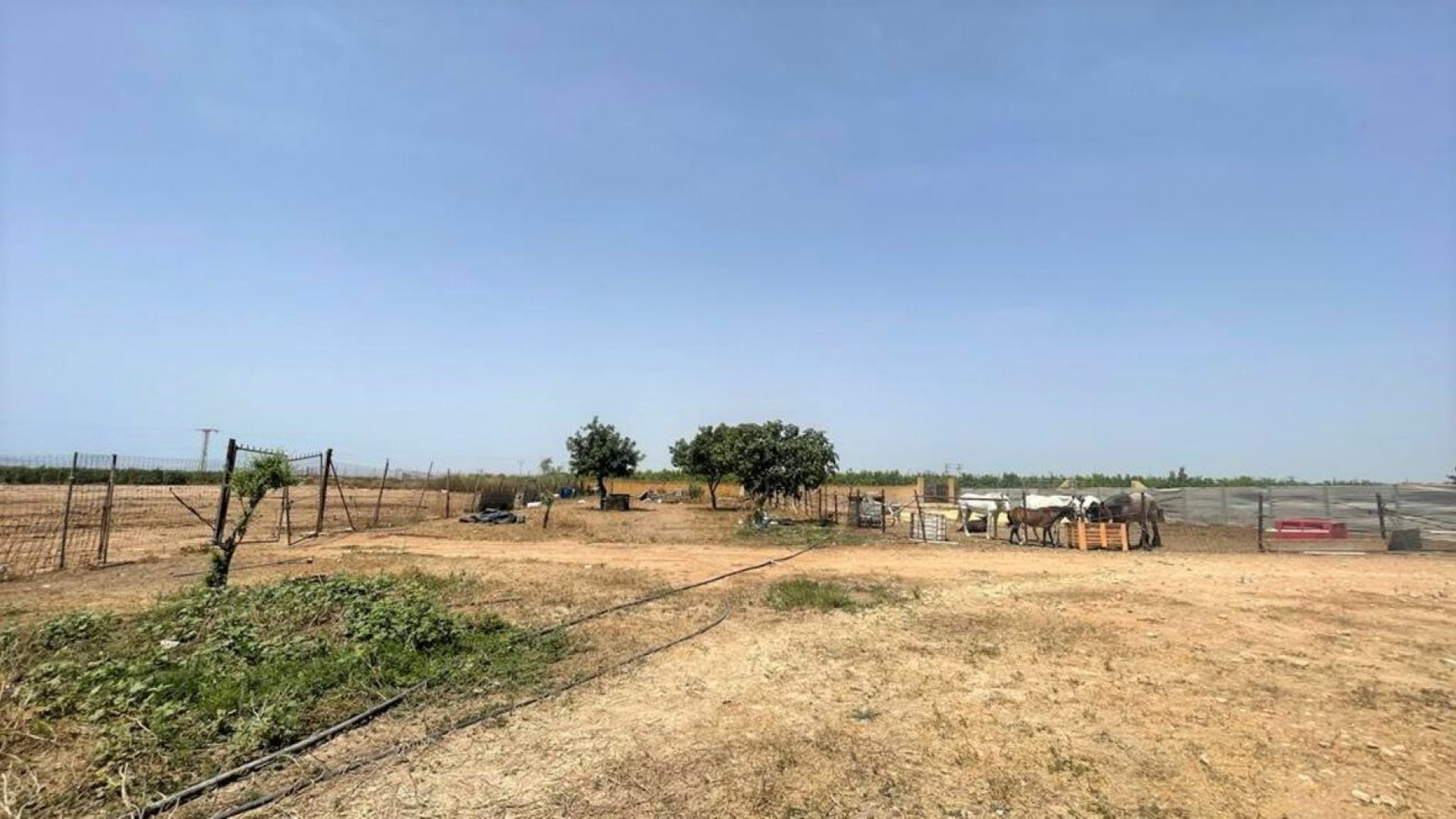 Videresalg - Kommerciel -
Balsicas - Torre Pacheco