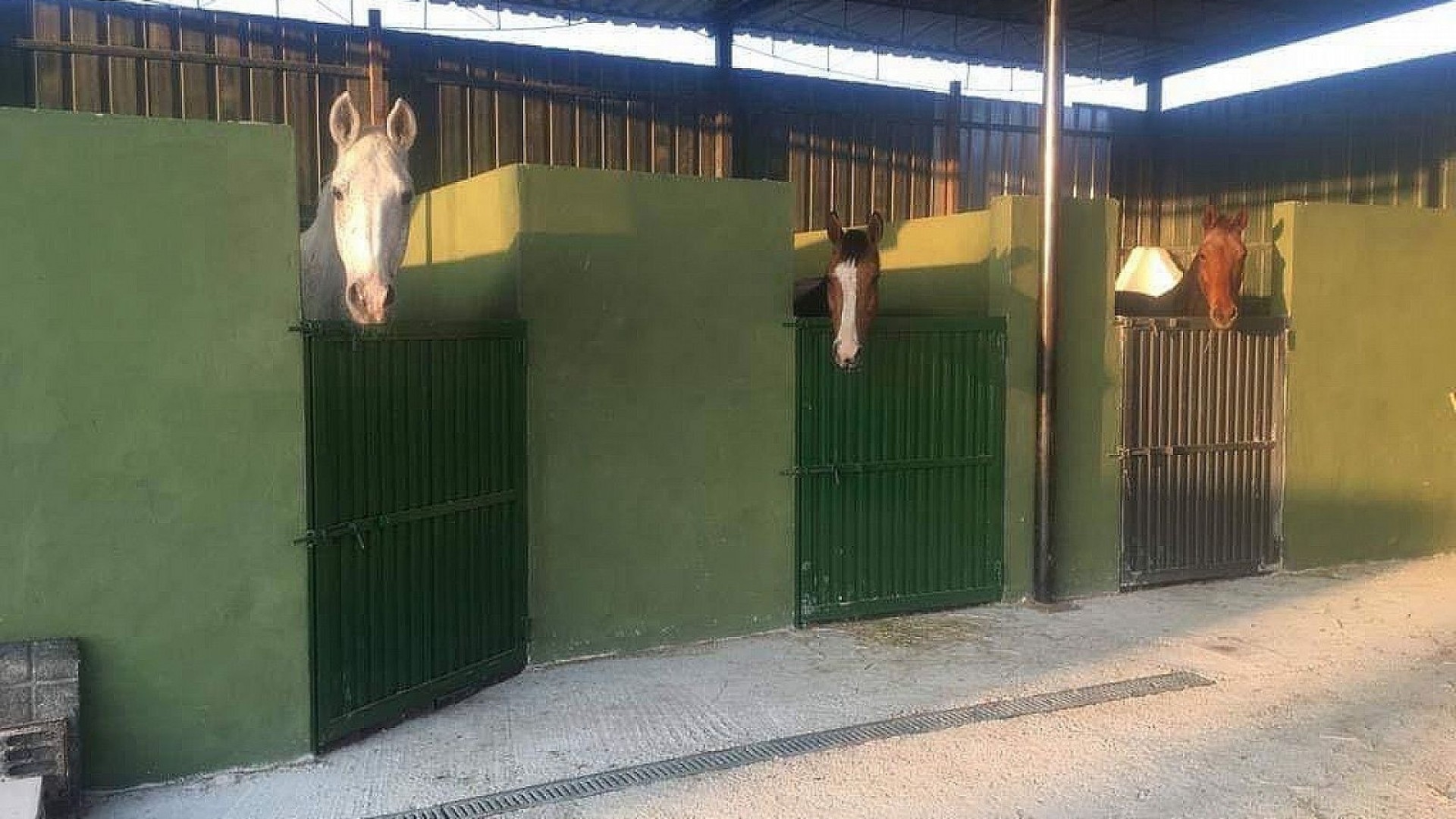 Videresalg - Kommerciel -
Fortuna