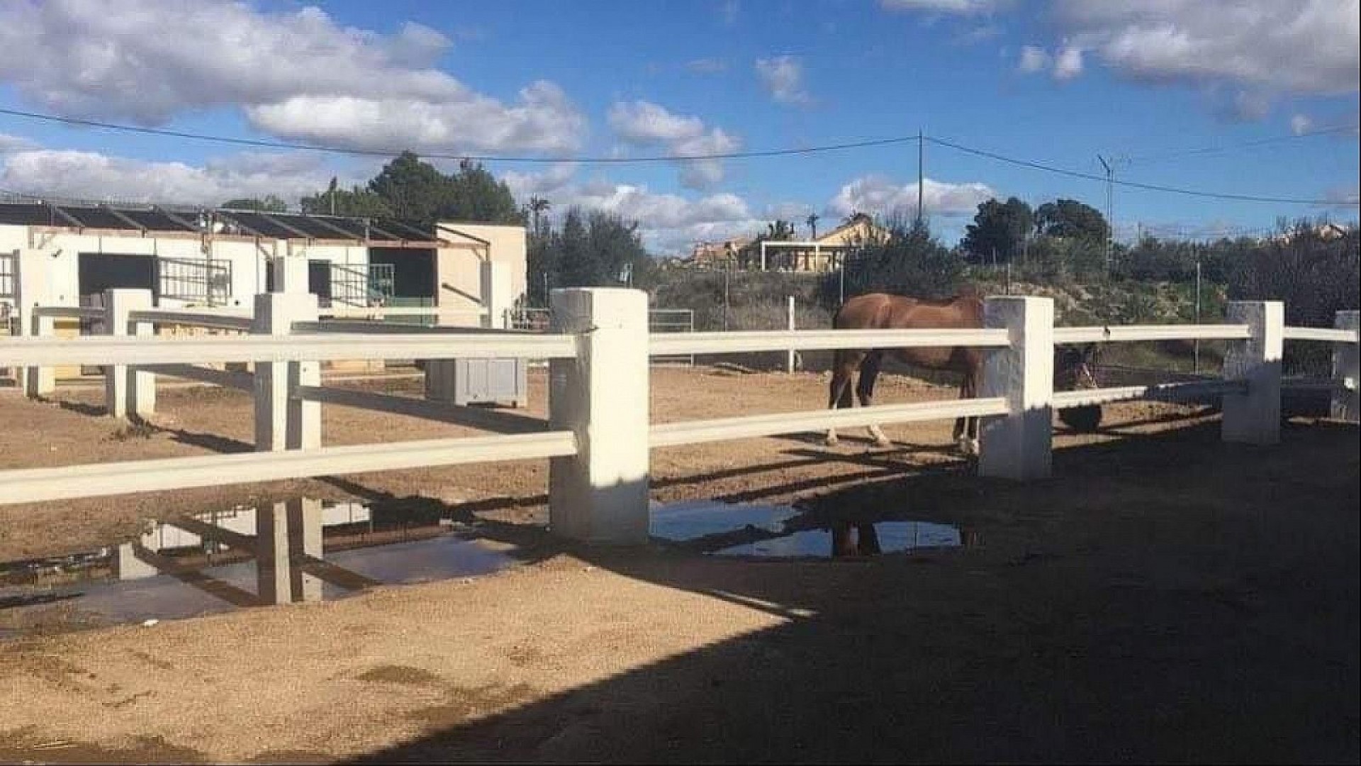 Videresalg - Kommerciel -
Fortuna