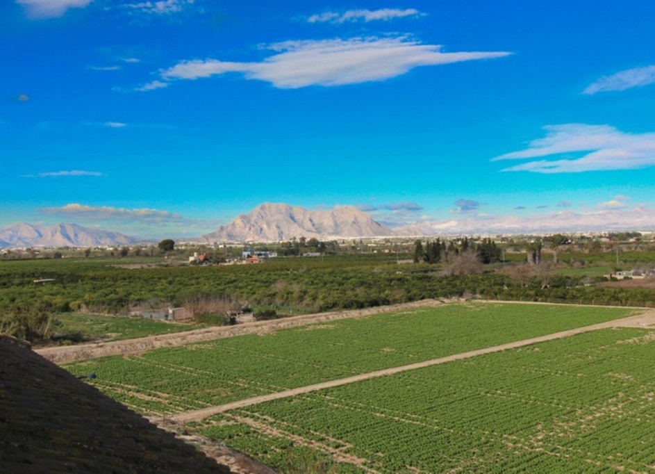 Videresalg - Lejlighed lejlighed -
Algorfa