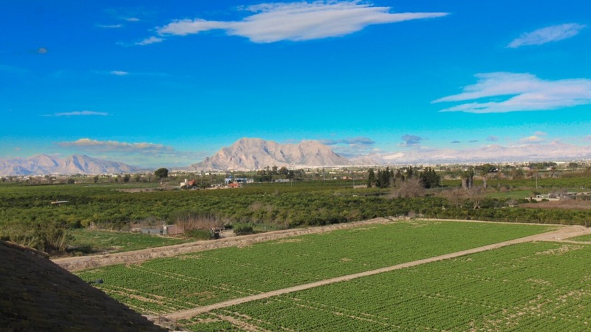 Videresalg - Lejlighed lejlighed -
Algorfa