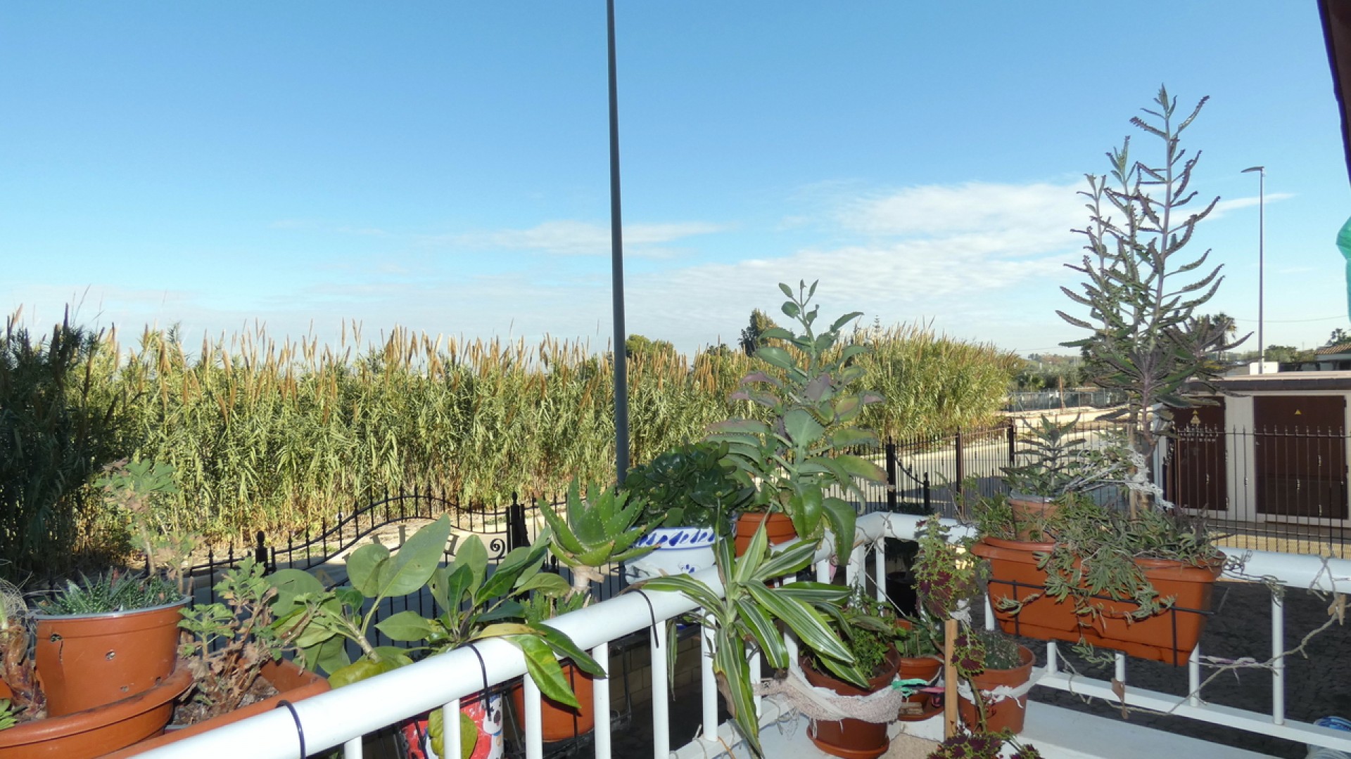 Videresalg - Lejlighed lejlighed -
Algorfa