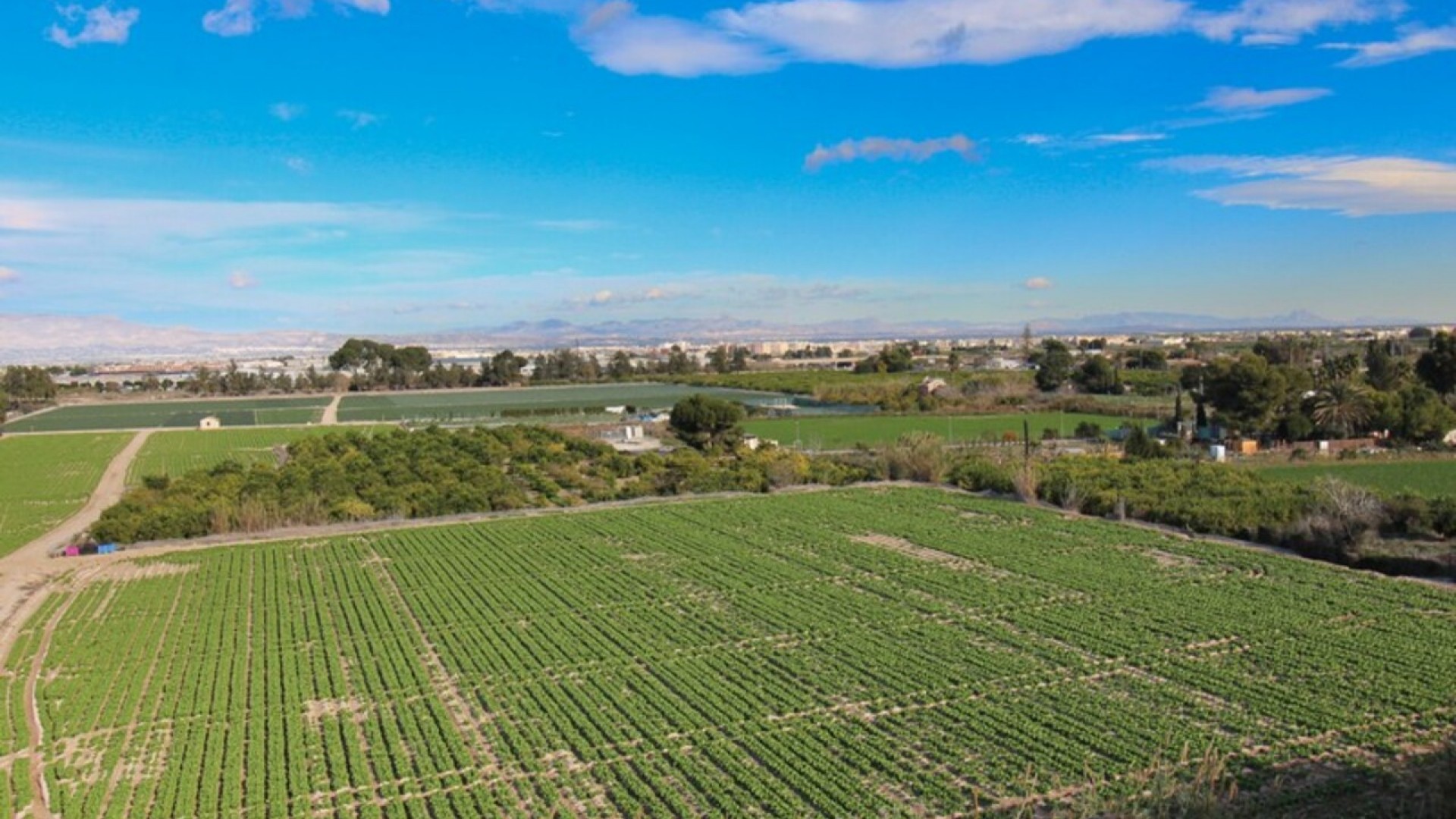 Videresalg - Lejlighed lejlighed -
Algorfa