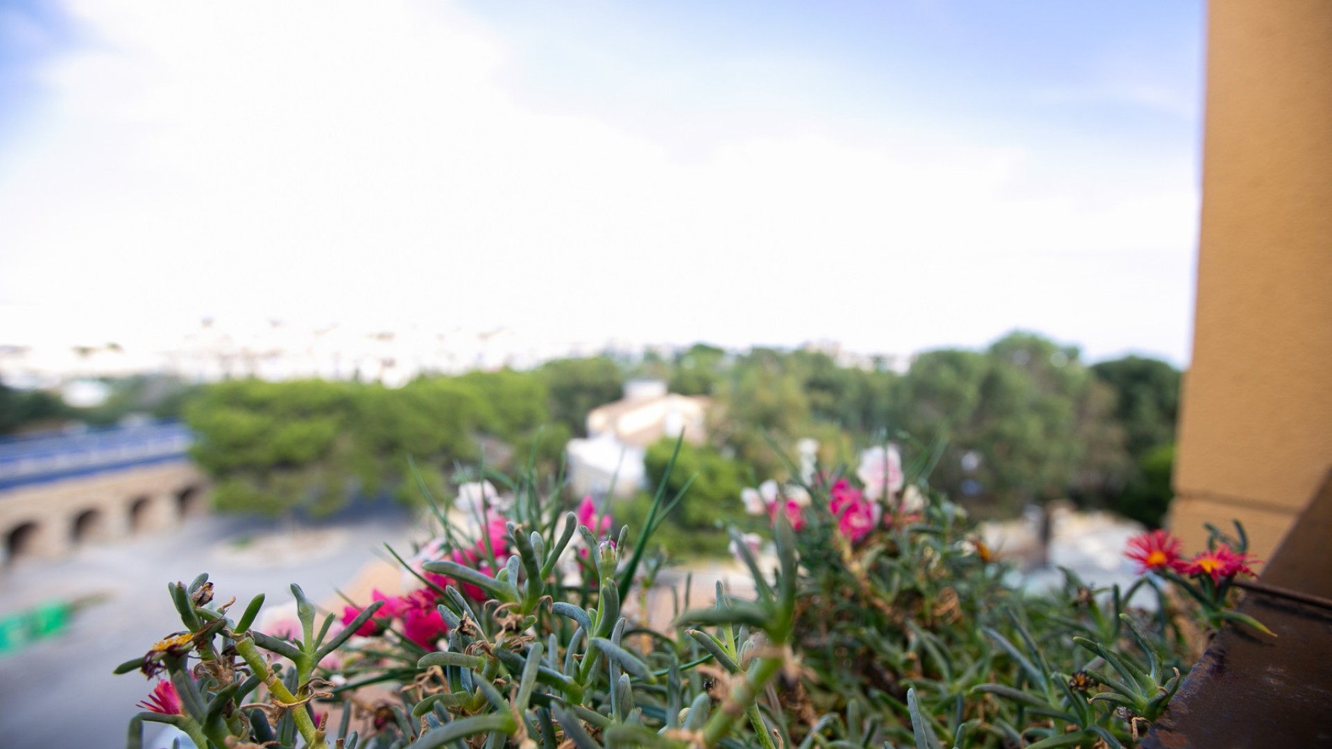 Videresalg - Lejlighed lejlighed -
La Zenia - Beachside