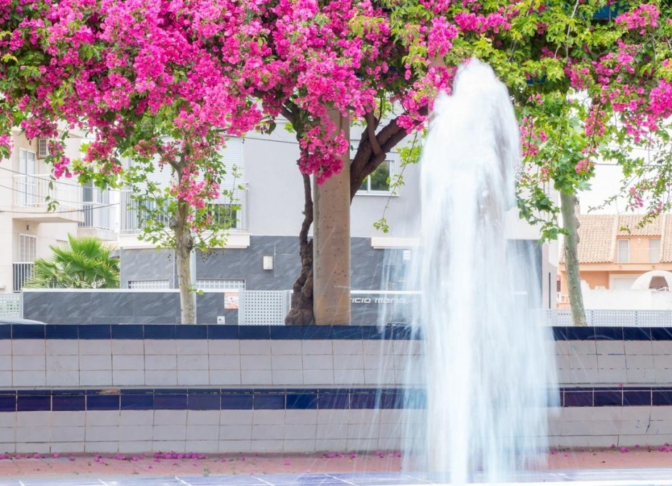 Videresalg - Lejlighed lejlighed -
Torrevieja - Estacion de autobuses