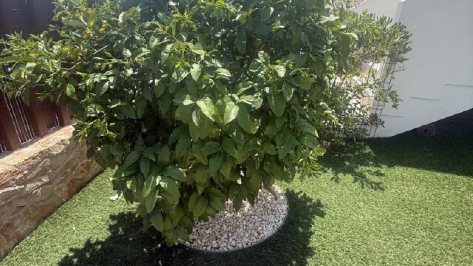 Videresalg - Lejlighed lejlighed -
Vistabella golf Los Montesinos