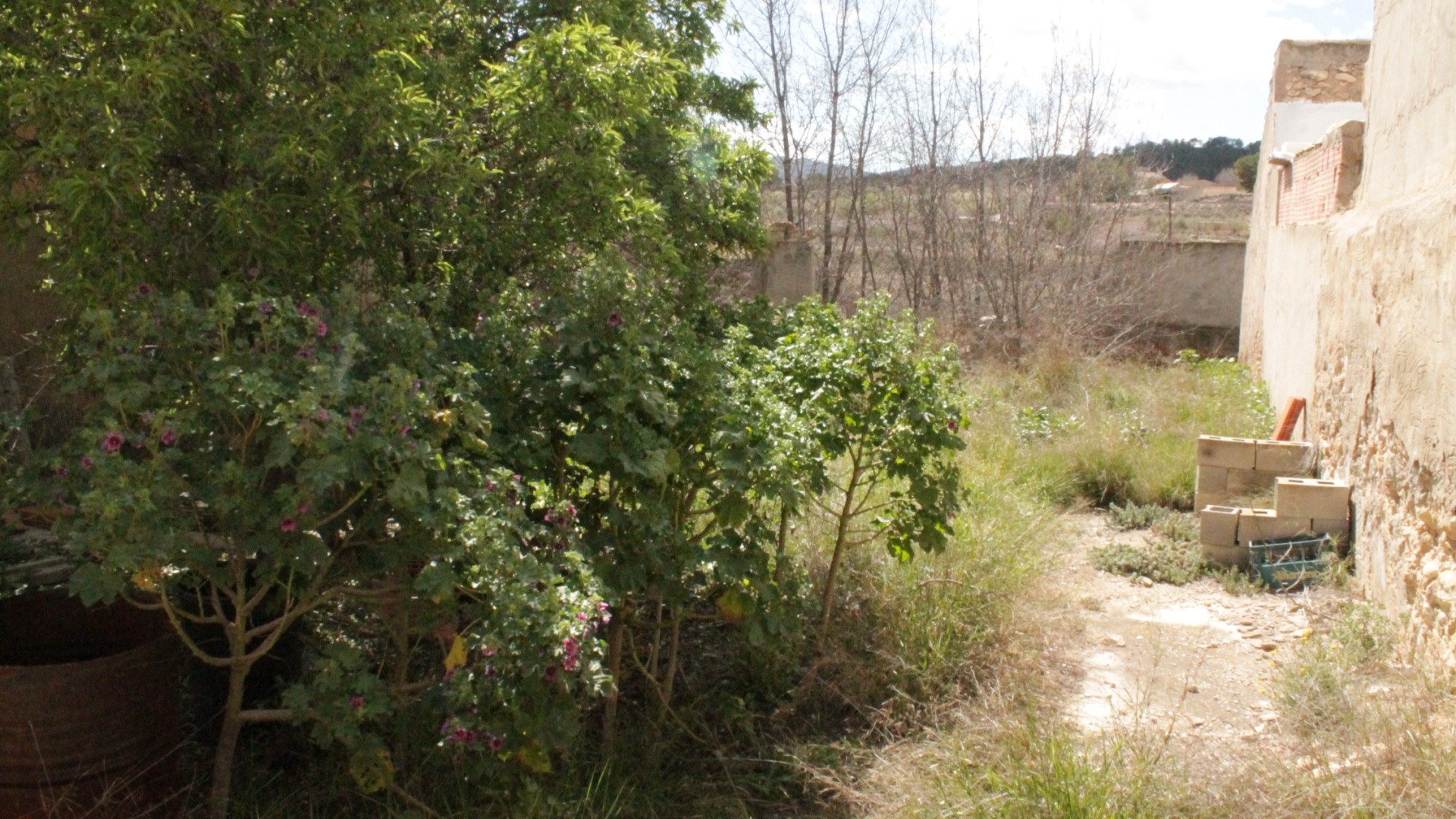 Videresalg - Restaureringsprojekt -
Úbeda - Úbeda Alicante