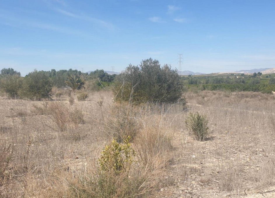 Videresalg - Terreno -
Benferri - HUERTA PUEBLO