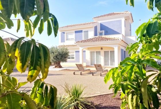 Villa Individuelle - Nouvelle construction - Purias - Purias