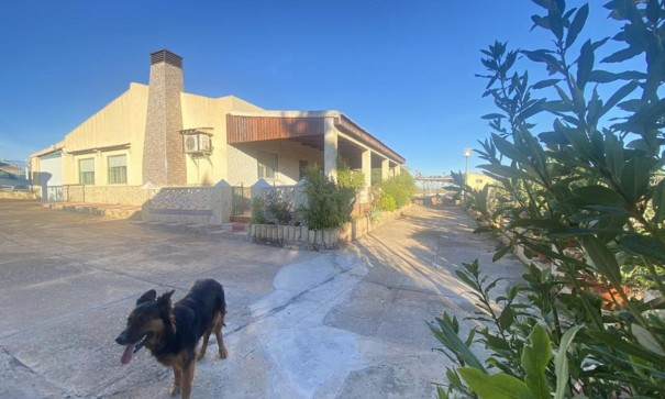 Villa Individuelle - Revente - Gea y Truyols - Gea y Truyols