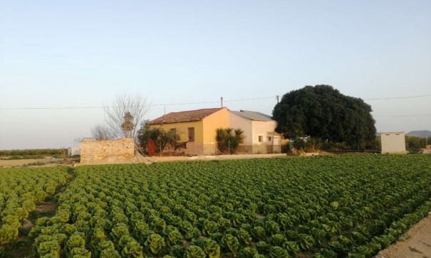 Villa Individuelle - Revente - Orihuela - Orihuela