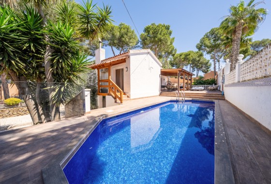 Villa Individuelle - Revente - Pinar de Campoverde -
                Pinar de Campoverde