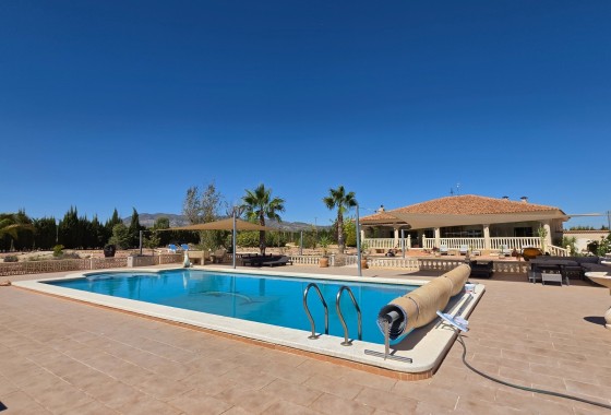 Villa Individuelle - Revente - Pinoso -
                Pinoso