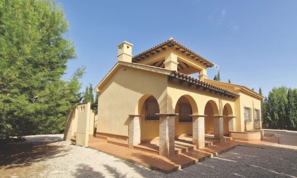Villa - Nowa konstrukcja - Fuente Alamo - LAS PALAS