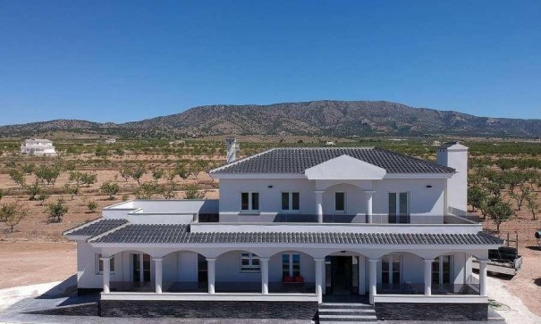 Villa - Nowa konstrukcja - Pinoso - Camino Del Prado