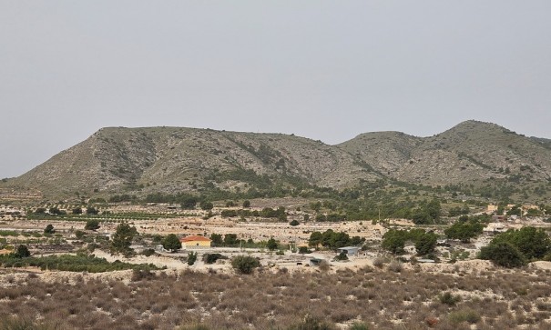 Vomt Mark - Återförsäljning - Novelda - Novelda