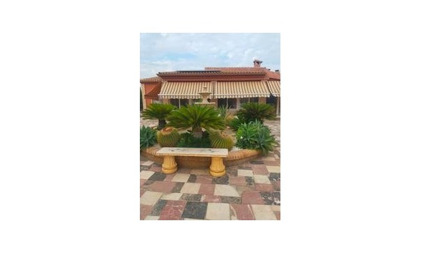 Vrijstaande Villa - Herverkoop - Elche - Elche