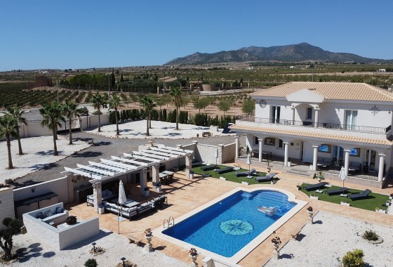 Vrijstaande Villa - NIEUWBOUW - Pinoso - Pinoso