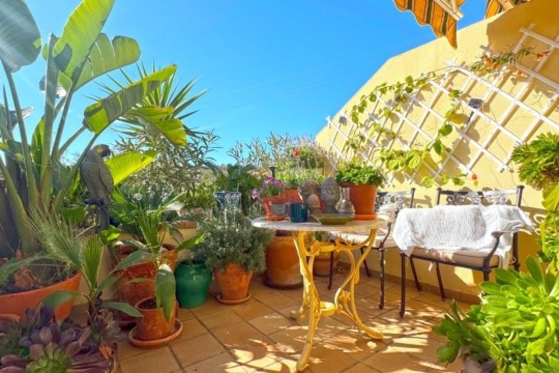 Wiederverkauf - Doppelhaushälfte -
Orihuela Costa - 0