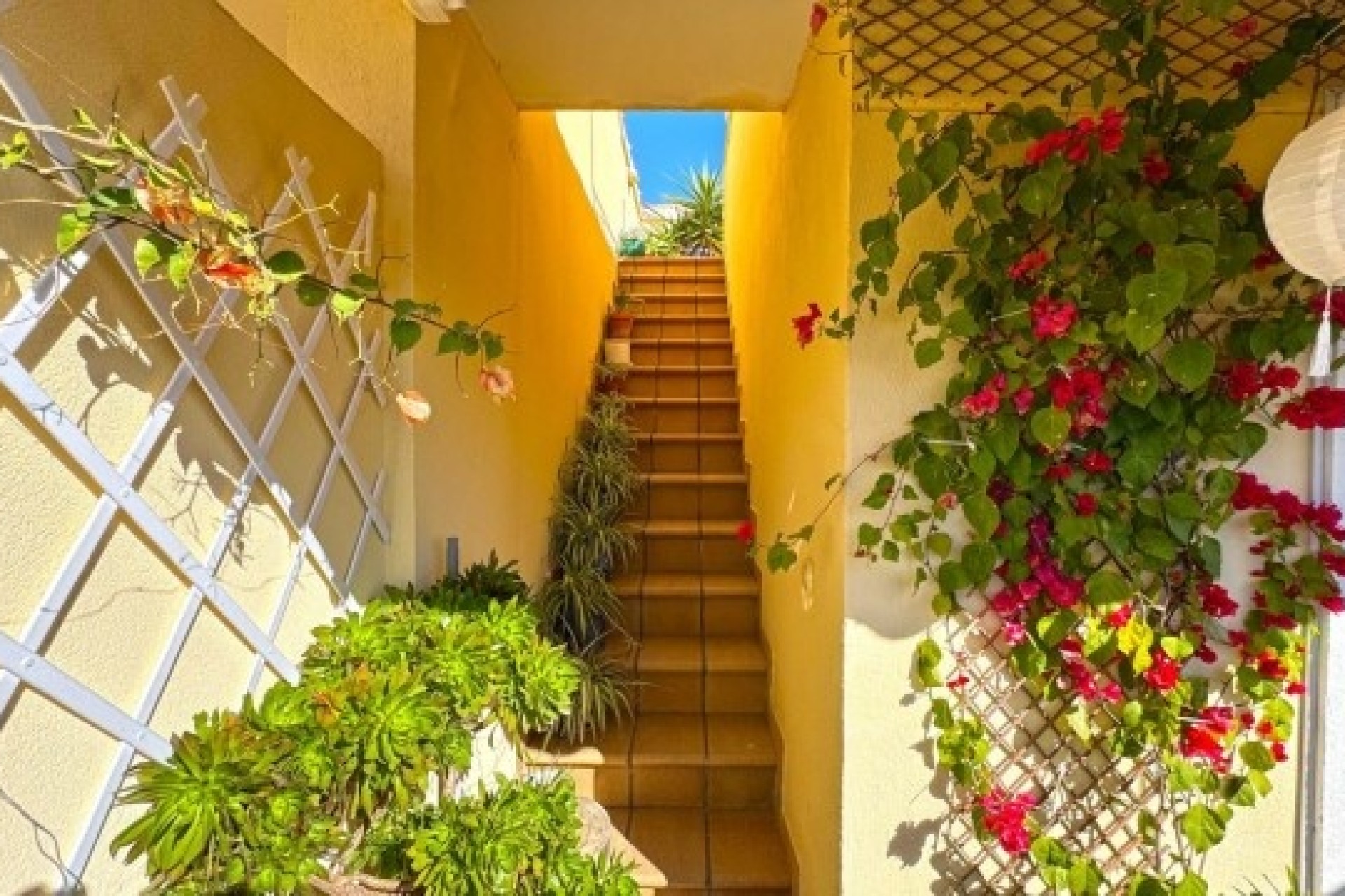 Wiederverkauf - Doppelhaushälfte -
Orihuela Costa - 0