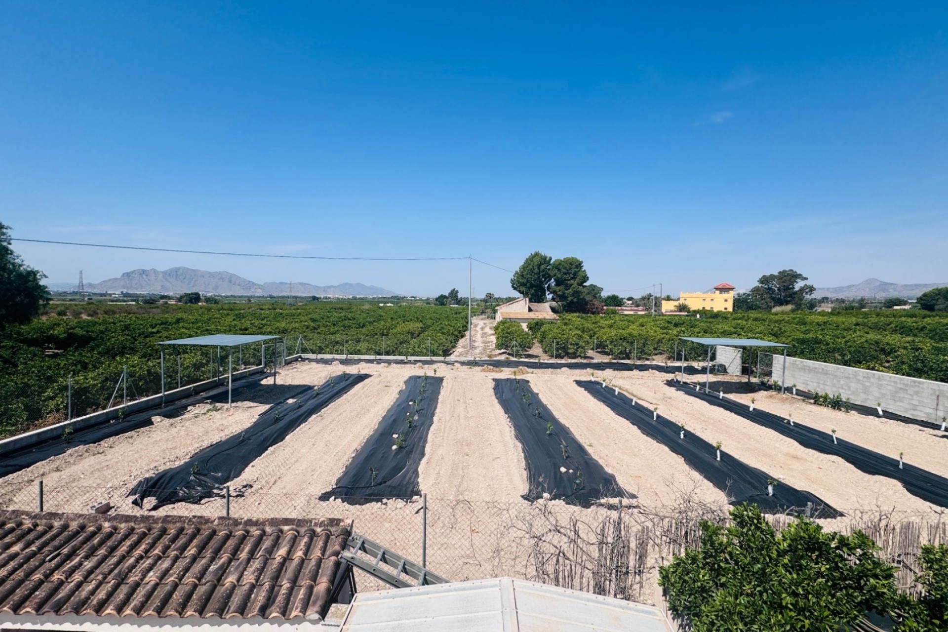 Wiederverkauf - Finca / Landhaus -
Albatera