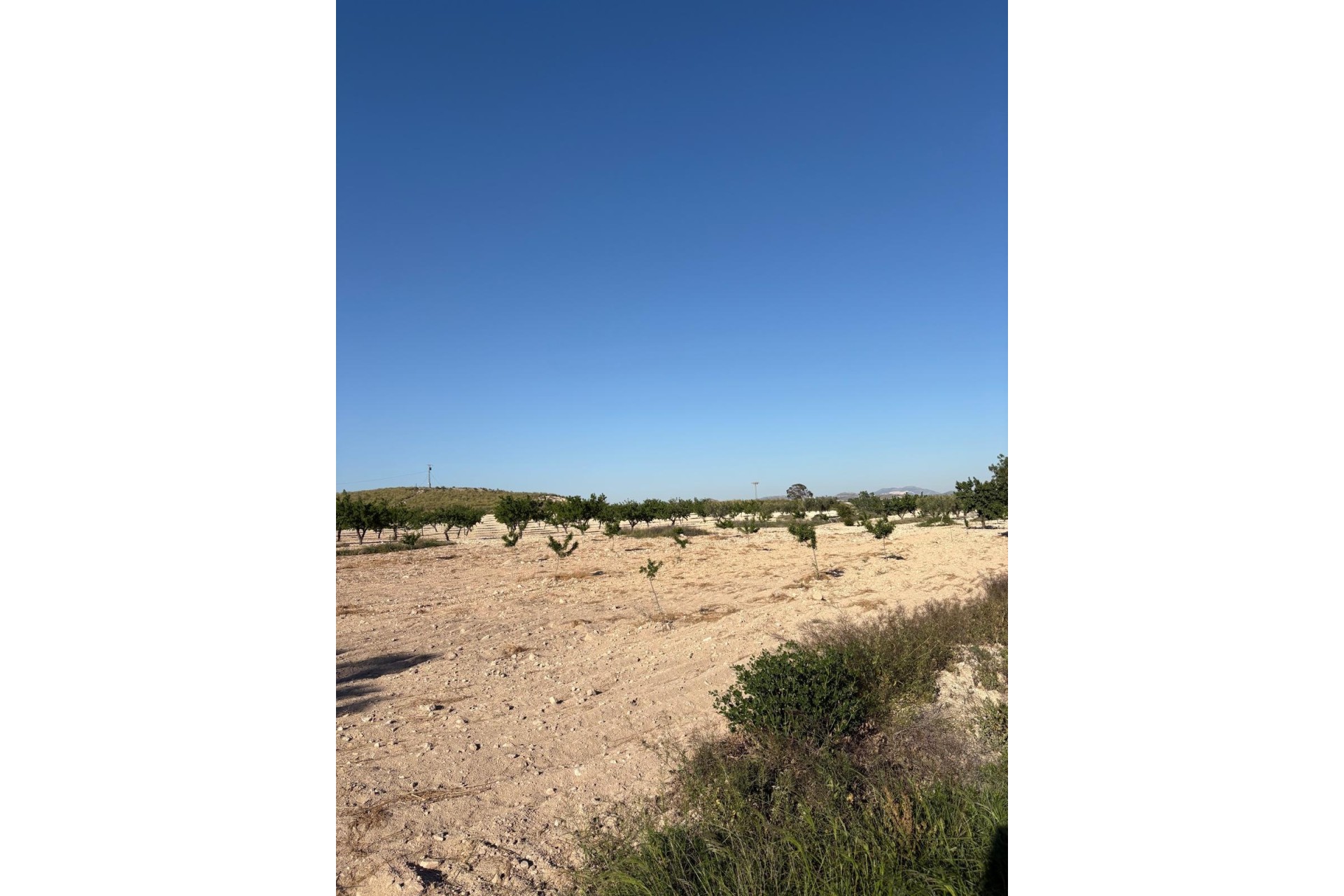 Wiederverkauf - Finca / Landhaus -
Cañada del Trigo - Canada del Trigo Murcia