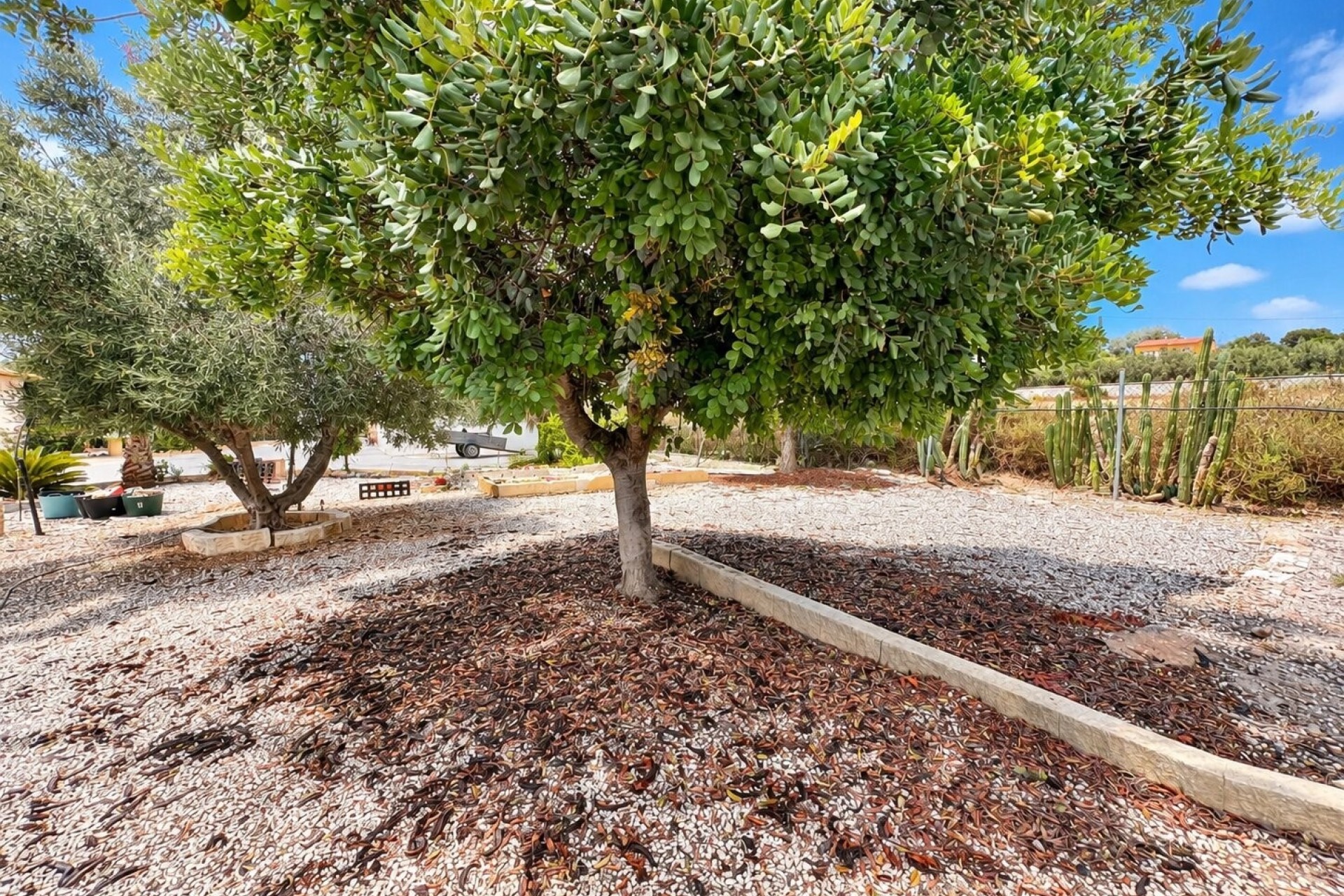 Wiederverkauf - Finca / Landhaus -
La Marina - La Marina - Country
