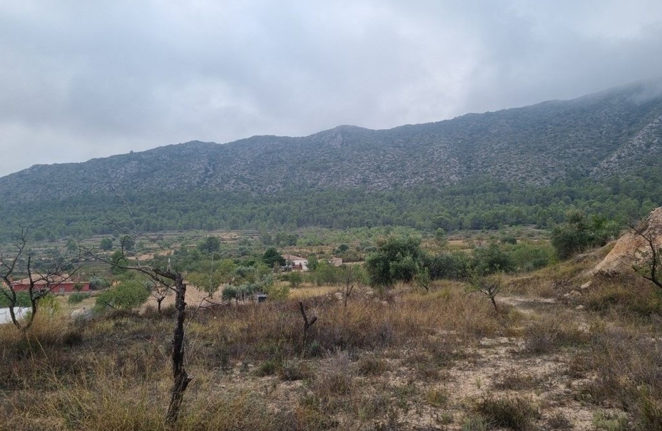 Wiederverkauf - Finca / Landhaus -
La Romana