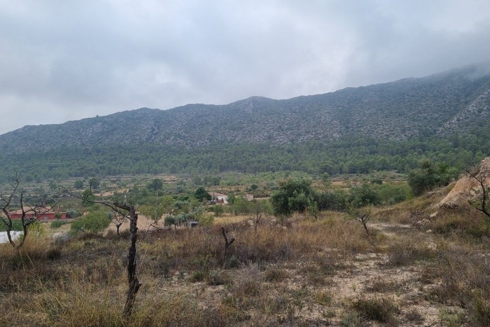 Wiederverkauf - Finca / Landhaus -
La Romana