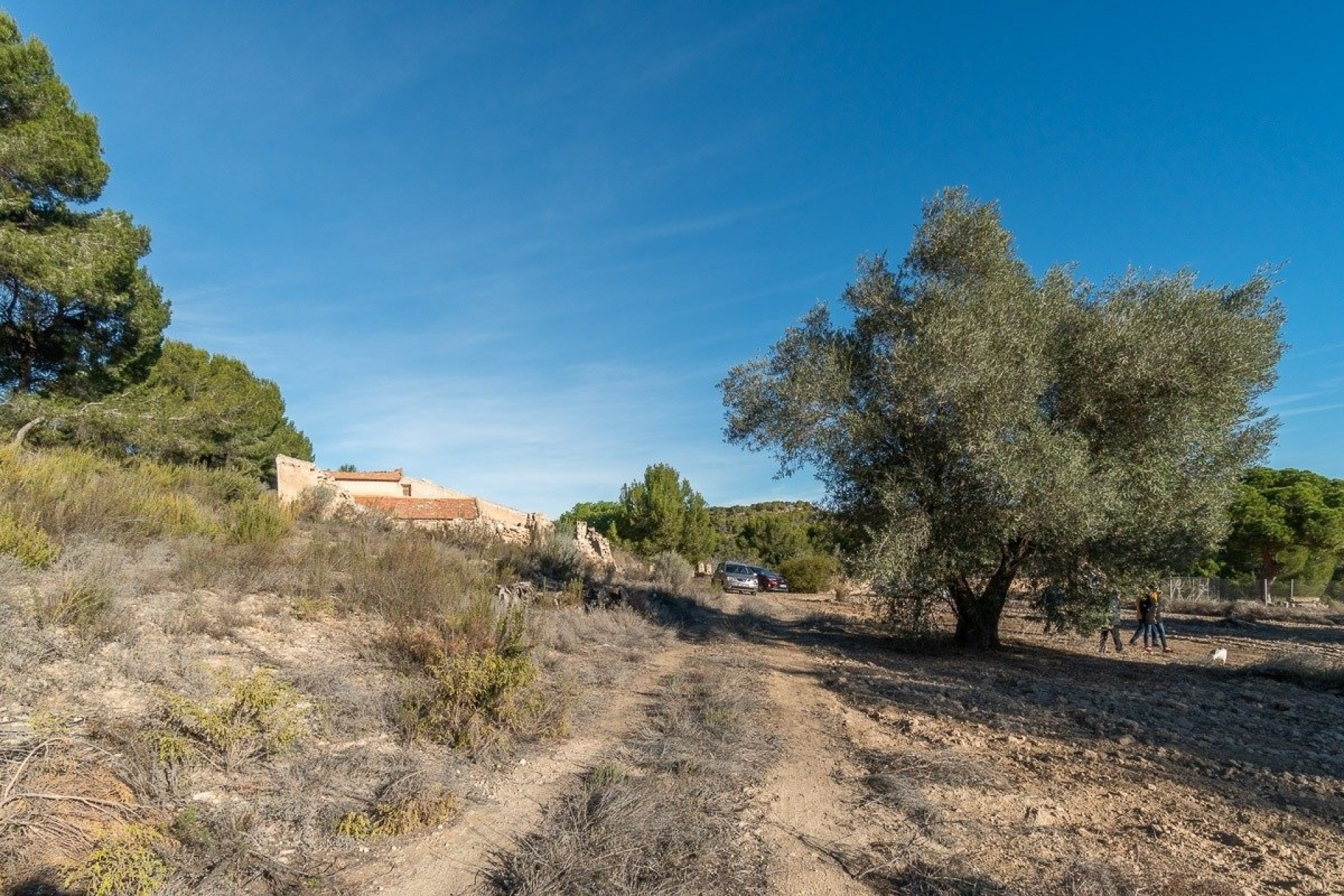 Wiederverkauf - Finca / Landhaus -
Pilar de la Horadada - Pinar de Campoverde