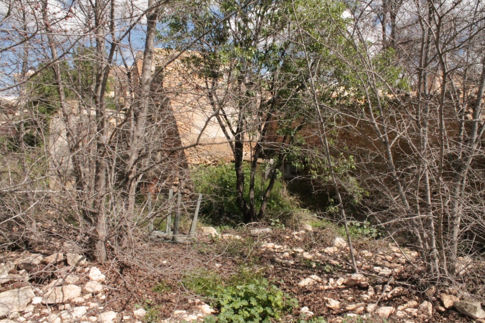 Wiederverkauf - Finca / Landhaus -
&Uacute;beda - &Uacute;beda Alicante