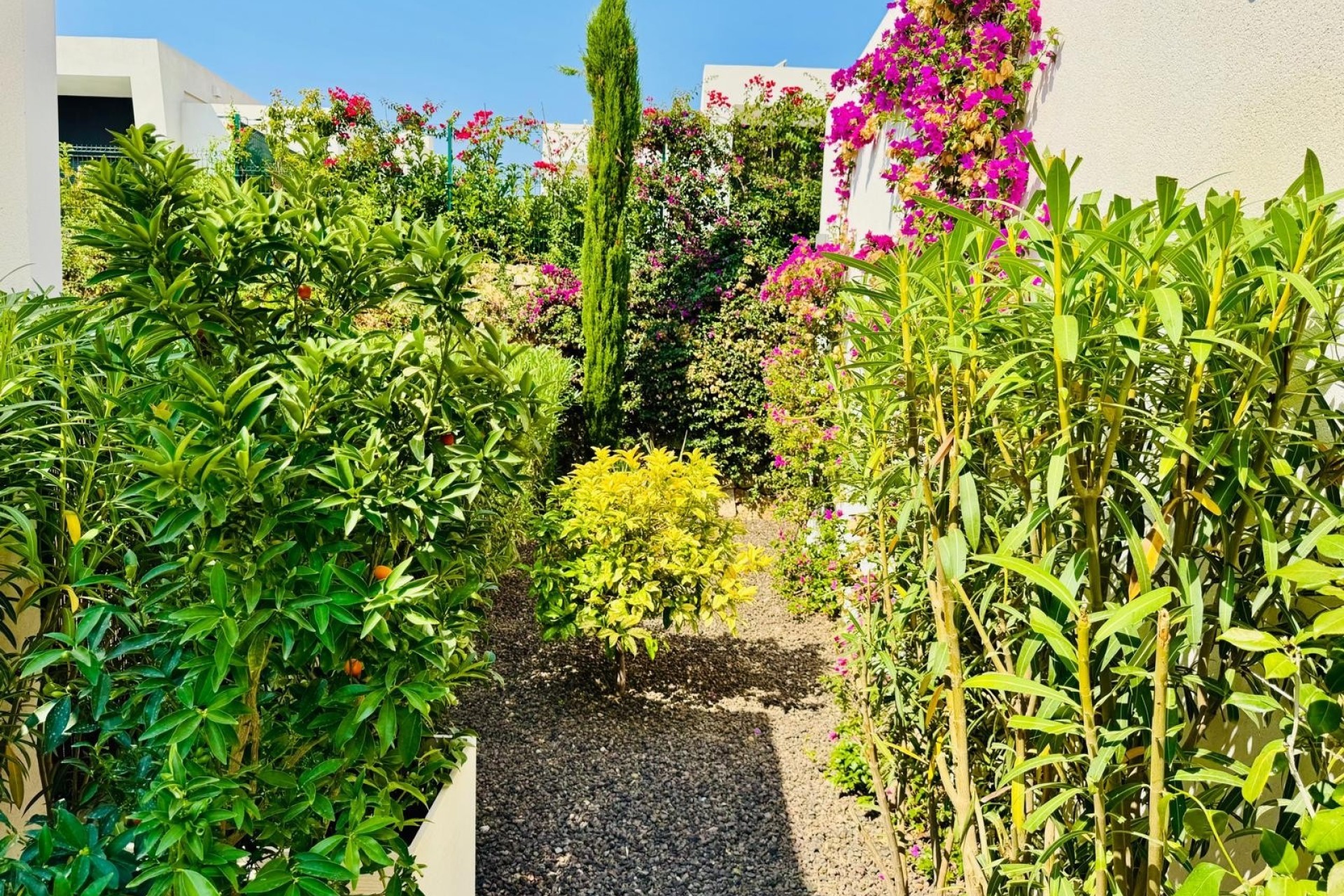 Wiederverkauf - Freistehende Villa -
Algorfa - La finca Golf