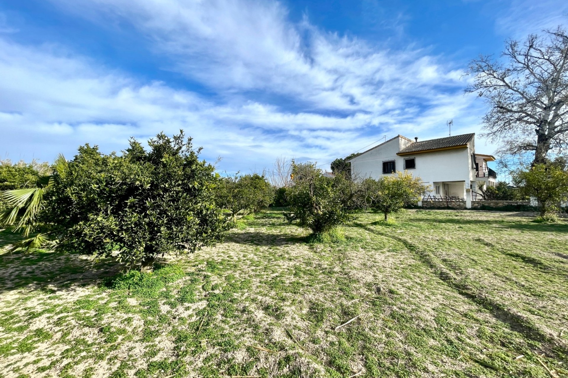 Wiederverkauf - Freistehende Villa -
Benejúzar - Comunidad Valenciana