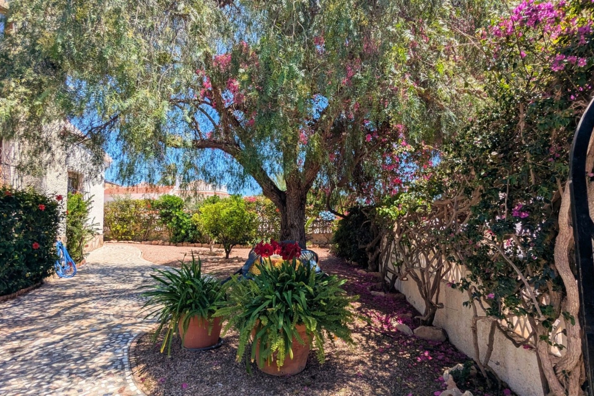 Wiederverkauf - Freistehende Villa -
Ciudad Quesada - Rojales - Ciudad Quesada