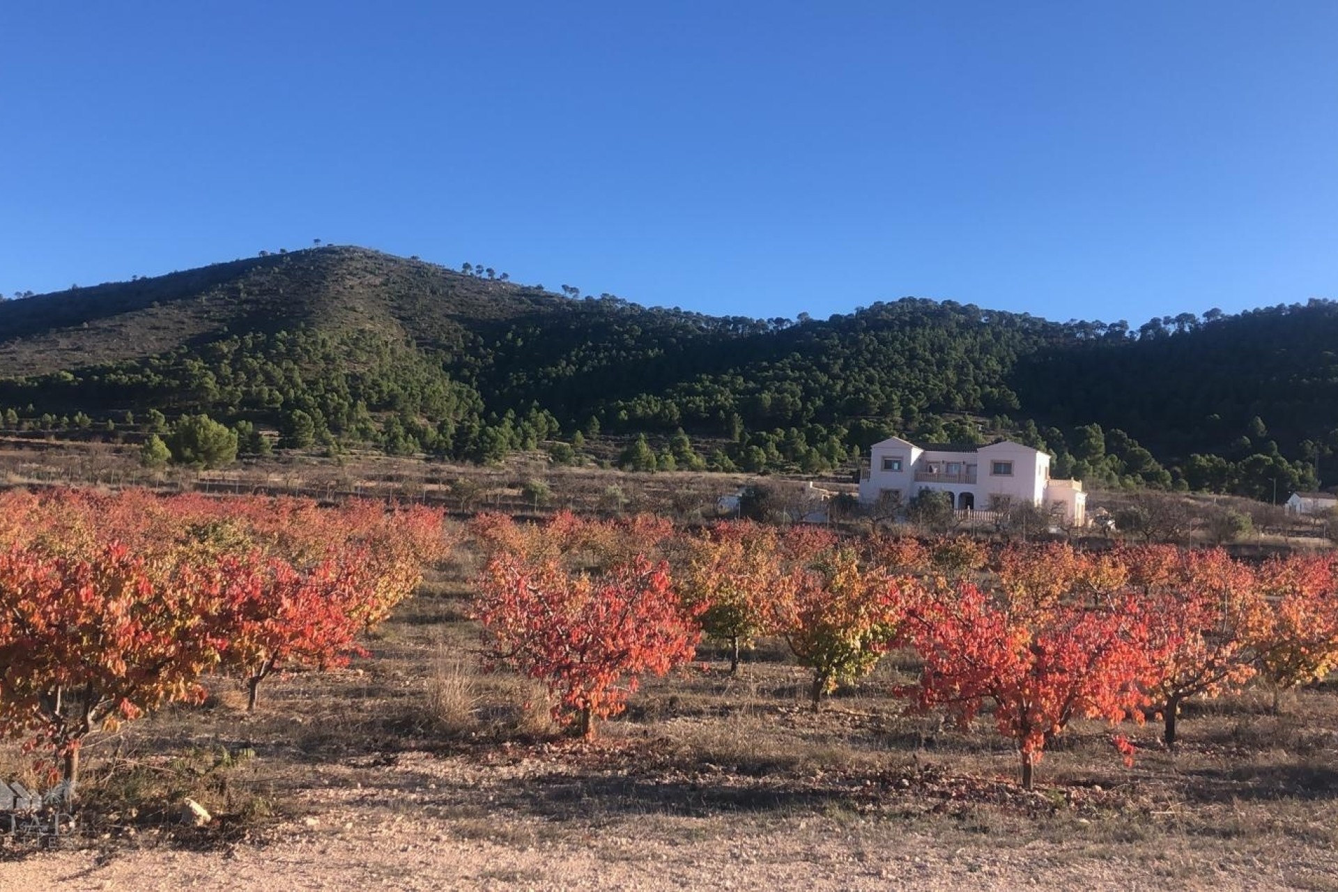 Wiederverkauf - Freistehende Villa -
Encebras - Encebras Alicante