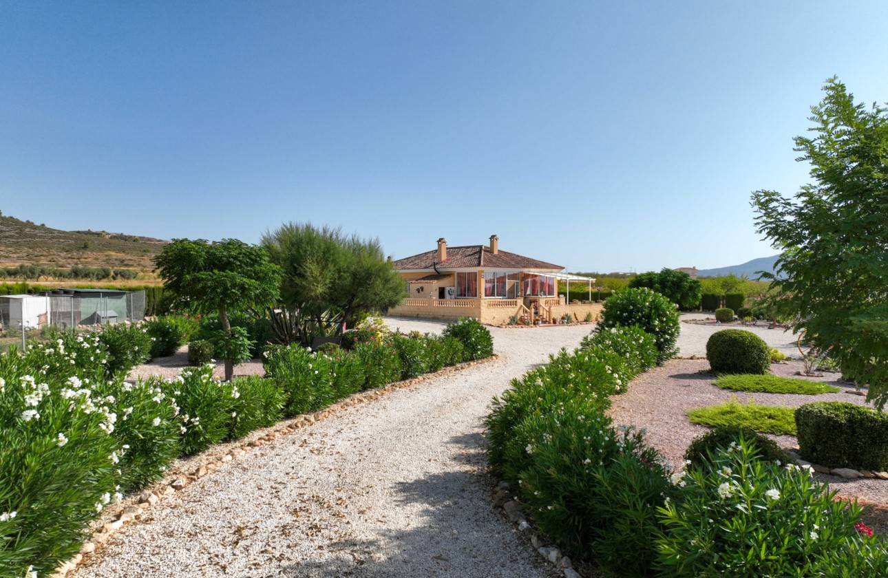 Wiederverkauf - Freistehende Villa -
Pinoso