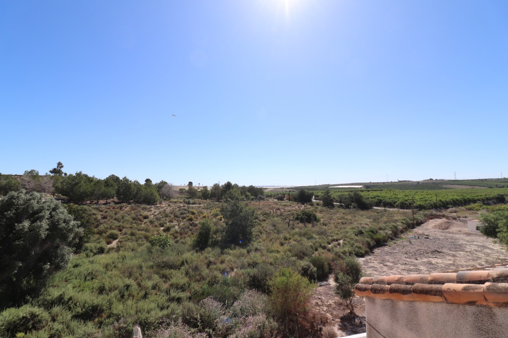 Wiederverkauf - Freistehende Villa -
San Miguel de Salinas - Lake View Mansions