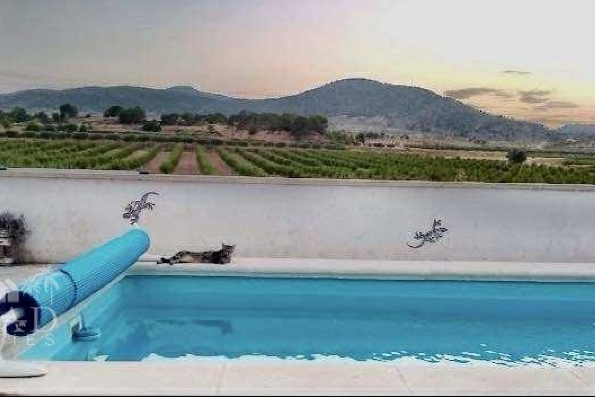 Wiederverkauf - Freistehende Villa -
Yecla - Yecla Murcia
