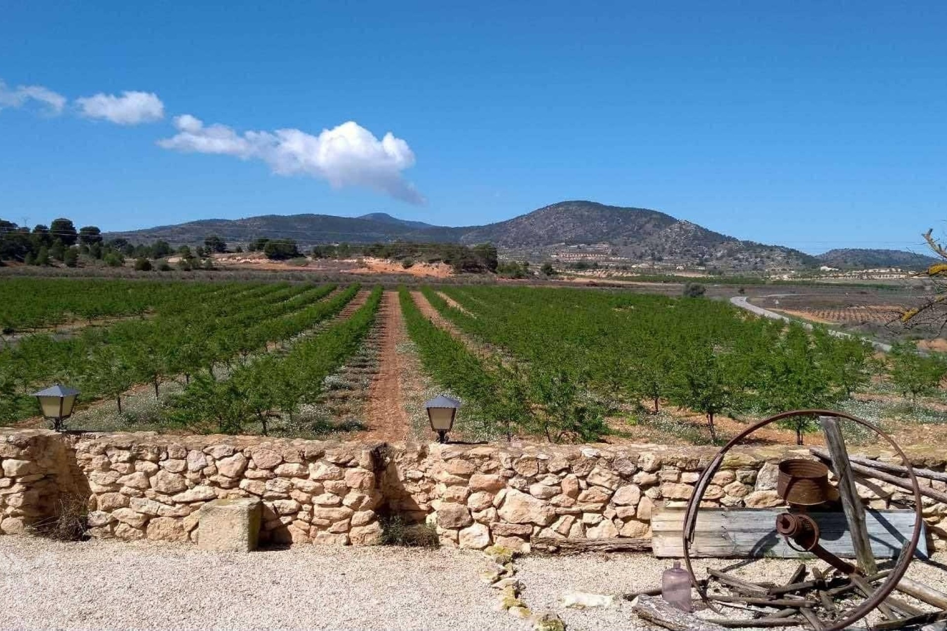 Wiederverkauf - Freistehende Villa -
Yecla - Yecla Murcia