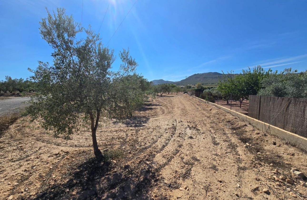 Wiederverkauf - Grundstück / Land -
Salinas