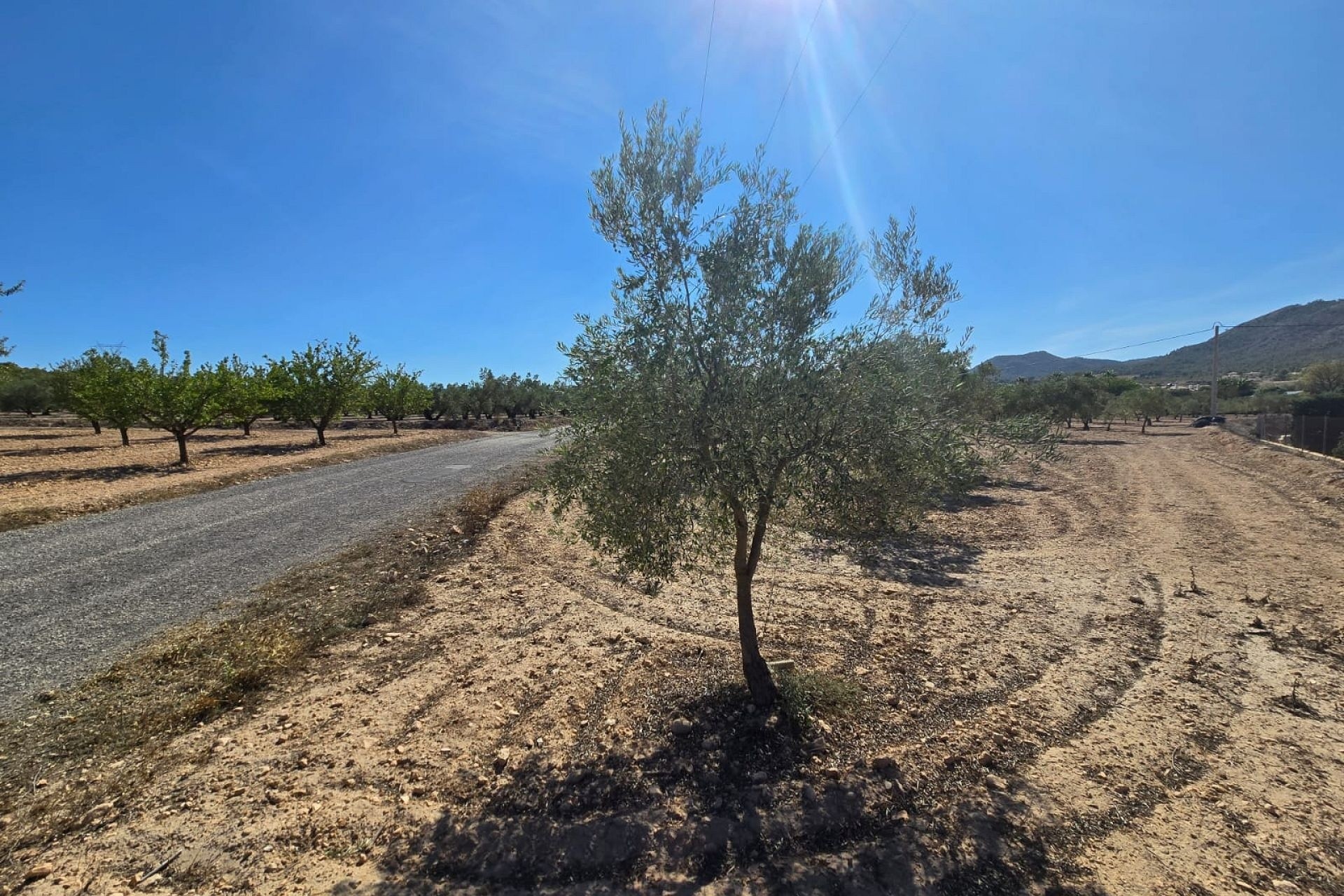 Wiederverkauf - Grundstück / Land -
Salinas