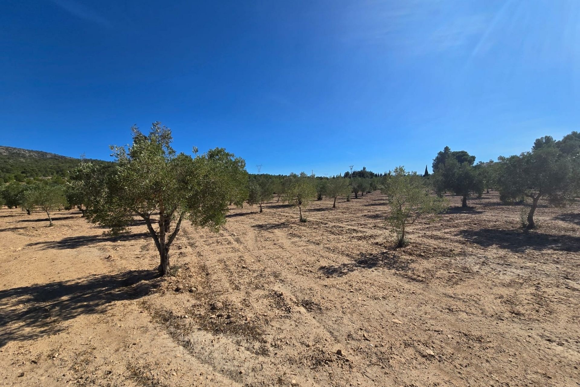 Wiederverkauf - Grundstück / Land -
Salinas